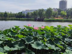 -西海子公园