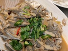 -味到1981日照海鲜·渔饺子