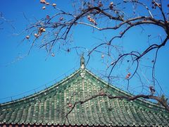 -国家图书馆·古籍馆