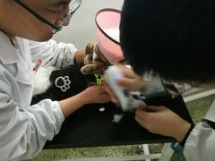 -成都民大动物医院