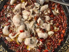 -金三可市井水煮鱼(金碧园店)