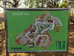 -天适樱花悠乐园