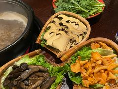 -滇野云南野生菌餐厅(陕西南路店)