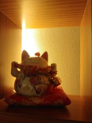 -广州萨谛艾扬格瑜伽中心