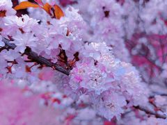 -长春公园(普阳街道)