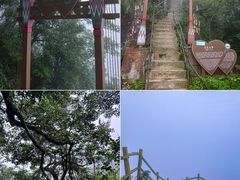 -金子山原生态旅游风景区