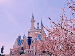 -上海迪士尼度假区