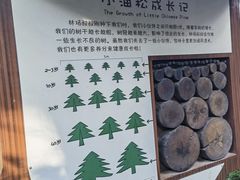 -北京西山国家森林公园