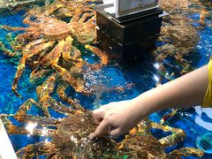 海鲜超市：俄罗斯帝王蟹-盒马鲜生(莱蒙都会店)