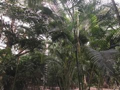 -龙达温泉生态城