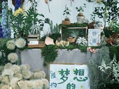 -杭州植物园