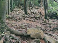 -火炉山森林公园