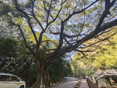 -广州市石门国家森林公园