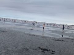 -南汇新城海滩