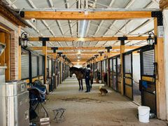 -北京群众马术培训基地