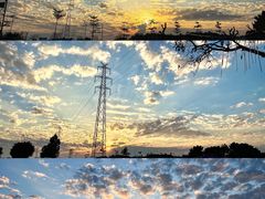 -长洲岛都市农业公园