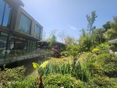 -桤木河湿地公园