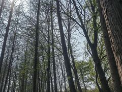 -苏州太湖湖滨国家湿地公园