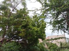 -维乐口腔医院(福清院)