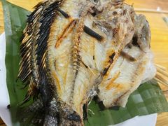 -杨合林啊兰烤鱼