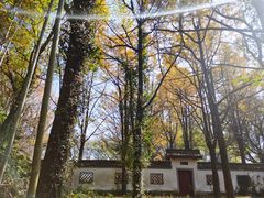 -西湖风景区十里琅珰-五云山