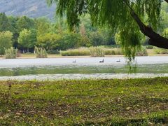 -长广溪湿地公园