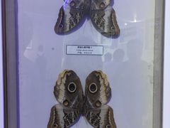 -中国湿地博物馆