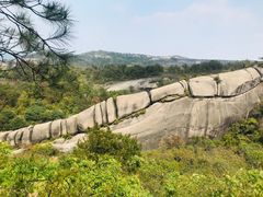 -大罗山风景区