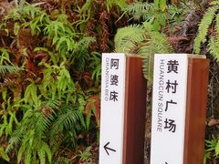 -羚羊峡古栈道森林公园