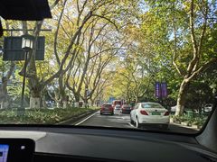 -杭州植物园