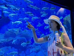 -海合安成都极地海洋公园