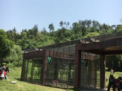 -洪崖丹井