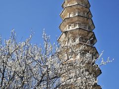 -崇圣寺三塔文化旅游区