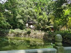 -阿育王寺