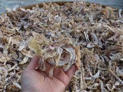 -宾湖农庄·农场特色(太湖龙之梦店)