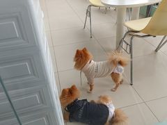 -怪兽屋·羊驼·猫咖·狗咖(俊华广场店)