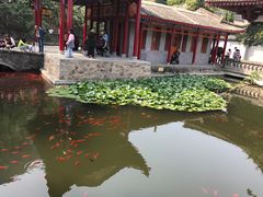 -华清宫景区