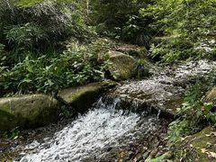 -中国茶叶博物馆(双峰馆区)