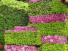 -杭州植物园