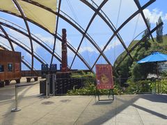 -怀托摩萤火虫洞