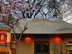 -白家大院·王府宫廷菜(苏州街店)