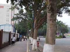 -广东金融学院(校本部)