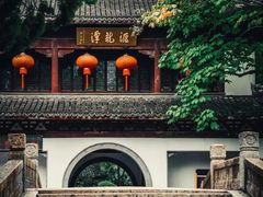 -汇龙潭