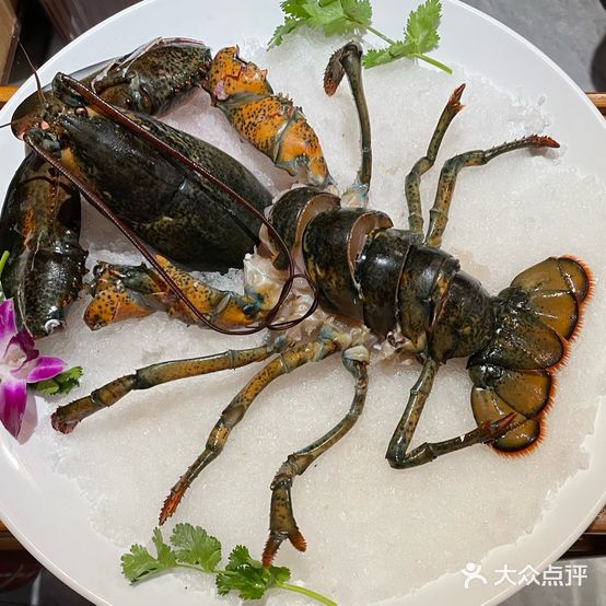 和盛记广东海鲜鸡煲(西苑小区店)