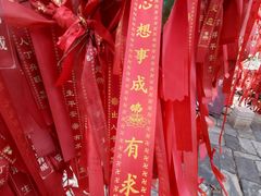 -玉石林风景区