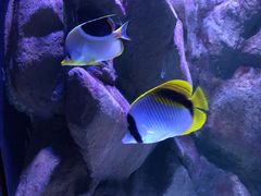 -成都浩海立方海洋公园