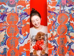 -读宠于你·约克夏比熊·睫角守宫·爬宠售卖(高新店)