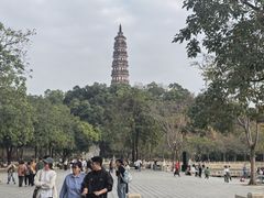 -顺峰山公园