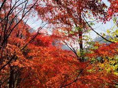 -崂山巨峰游览区