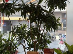 -又一福烤鸭·北京菜(东四店)